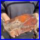 17_2lb_Rare_Natural_petrified_wood_rough_Wood_fossil_mineral_specimen_healing_01_ym