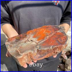 17.2lb Rare Natural petrified wood rough Wood fossil mineral specimen healing 17.2lb Rare Natural petrified wood rough Wood fossil mineral specimen healing