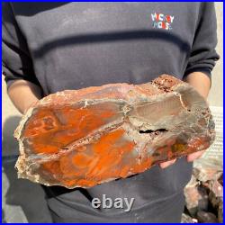 17.2lb Rare Natural petrified wood rough Wood fossil mineral specimen healing 17.2lb Rare Natural petrified wood rough Wood fossil mineral specimen healing
