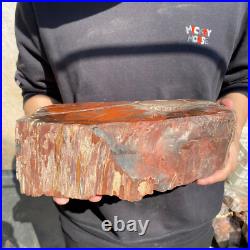 17.2lb Rare Natural petrified wood rough Wood fossil mineral specimen healing 17.2lb Rare Natural petrified wood rough Wood fossil mineral specimen healing