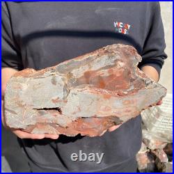 17.2lb Rare Natural petrified wood rough Wood fossil mineral specimen healing