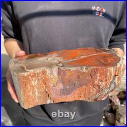 17.2lb Rare Natural petrified wood rough Wood fossil mineral specimen healing 17.2lb Rare Natural petrified wood rough Wood fossil mineral specimen healing