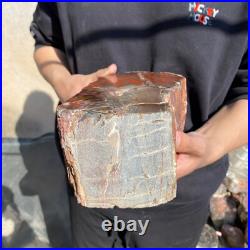 17.2lb Rare Natural petrified wood rough Wood fossil mineral specimen healing 17.2lb Rare Natural petrified wood rough Wood fossil mineral specimen healing