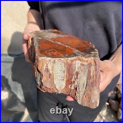 17.2lb Rare Natural petrified wood rough Wood fossil mineral specimen healing