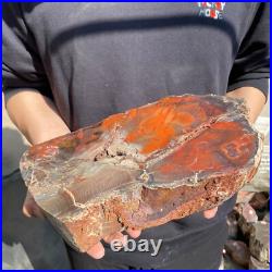 17.2lb Rare Natural petrified wood rough Wood fossil mineral specimen healing 17.2lb Rare Natural petrified wood rough Wood fossil mineral specimen healing