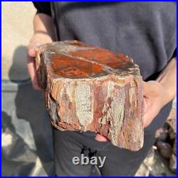 17.2lb Rare Natural petrified wood rough Wood fossil mineral specimen healing 17.2lb Rare Natural petrified wood rough Wood fossil mineral specimen healing