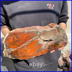 17.2lb Rare Natural petrified wood rough Wood fossil mineral specimen healing