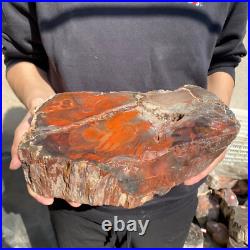 17.2lb Rare Natural petrified wood rough Wood fossil mineral specimen healing 17.2lb Rare Natural petrified wood rough Wood fossil mineral specimen healing