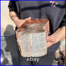 17.2lb Rare Natural petrified wood rough Wood fossil mineral specimen healing