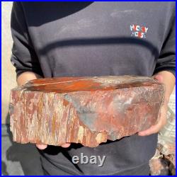 17.2lb Rare Natural petrified wood rough Wood fossil mineral specimen healing