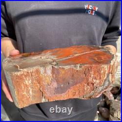 17.2lb Rare Natural petrified wood rough Wood fossil mineral specimen healing