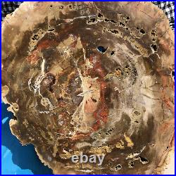 17.38LB Natural Petrified Wood Fossil Crystal Polished Slice