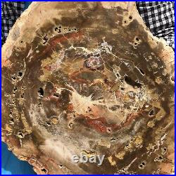 17.38LB Natural Petrified Wood Fossil Crystal Polished Slice- Madagascar
