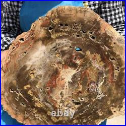 17.38LB Natural Petrified Wood Fossil Crystal Polished Slice Madagascar 2599