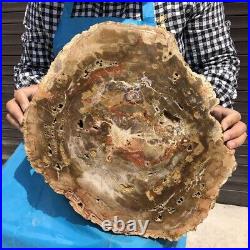 17.38LB Natural Petrified Wood Fossil Crystal Polished Slice Madagascar 2599