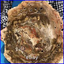 17.38LB Natural Petrified Wood Fossil Crystal Polished Slice Madagascar 34