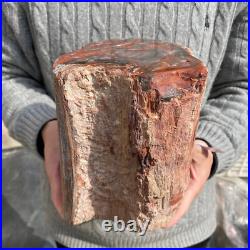 17.7lb Rare Natural petrified wood rough Wood fossil mineral specimen healing 17.7lb Rare Natural petrified wood rough Wood fossil mineral specimen healing