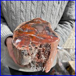 17.7lb Rare Natural petrified wood rough Wood fossil mineral specimen healing 17.7lb Rare Natural petrified wood rough Wood fossil mineral specimen healing