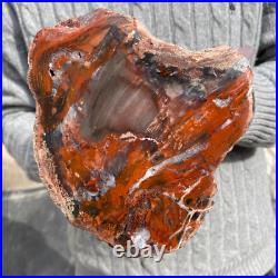 17.7lb Rare Natural petrified wood rough Wood fossil mineral specimen healing 17.7lb Rare Natural petrified wood rough Wood fossil mineral specimen healing