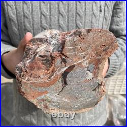 17.7lb Rare Natural petrified wood rough Wood fossil mineral specimen healing 17.7lb Rare Natural petrified wood rough Wood fossil mineral specimen healing