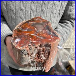 17.7lb Rare Natural petrified wood rough Wood fossil mineral specimen healing 17.7lb Rare Natural petrified wood rough Wood fossil mineral specimen healing