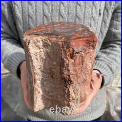 17.7lb Rare Natural petrified wood rough Wood fossil mineral specimen healing 17.7lb Rare Natural petrified wood rough Wood fossil mineral specimen healing