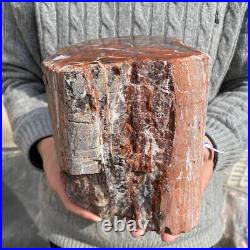 17.7lb Rare Natural petrified wood rough Wood fossil mineral specimen healing 17.7lb Rare Natural petrified wood rough Wood fossil mineral specimen healing