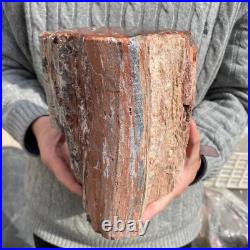 17.7lb Rare Natural petrified wood rough Wood fossil mineral specimen healing 17.7lb Rare Natural petrified wood rough Wood fossil mineral specimen healing