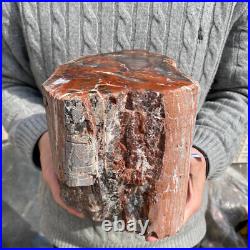 17.7lb Rare Natural petrified wood rough Wood fossil mineral specimen healing 17.7lb Rare Natural petrified wood rough Wood fossil mineral specimen healing