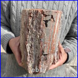 17.7lb Rare Natural petrified wood rough Wood fossil mineral specimen healing 17.7lb Rare Natural petrified wood rough Wood fossil mineral specimen healing