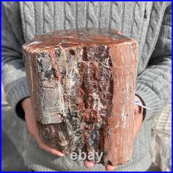 17.7lb Rare Natural petrified wood rough Wood fossil mineral specimen healing 17.7lb Rare Natural petrified wood rough Wood fossil mineral specimen healing
