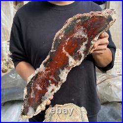 17.8lb Rare Natural petrified wood rough Wood fossil mineral specimen healing 17.8lb Rare Natural petrified wood rough Wood fossil mineral specimen healing