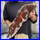 17_8lb_Rare_Natural_petrified_wood_rough_Wood_fossil_mineral_specimen_healing_01_zb
