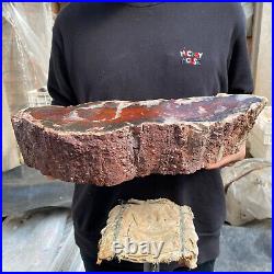 17.8lb Rare Natural petrified wood rough Wood fossil mineral specimen healing 17.8lb Rare Natural petrified wood rough Wood fossil mineral specimen healing