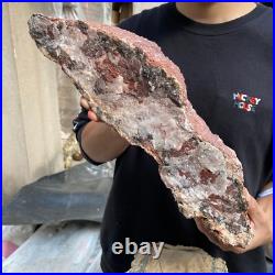 17.8lb Rare Natural petrified wood rough Wood fossil mineral specimen healing 17.8lb Rare Natural petrified wood rough Wood fossil mineral specimen healing