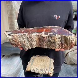 17.8lb Rare Natural petrified wood rough Wood fossil mineral specimen healing 17.8lb Rare Natural petrified wood rough Wood fossil mineral specimen healing
