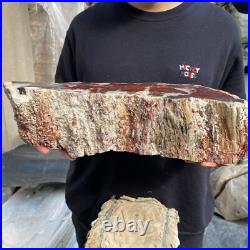 17.8lb Rare Natural petrified wood rough Wood fossil mineral specimen healing 17.8lb Rare Natural petrified wood rough Wood fossil mineral specimen healing