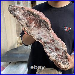 17.8lb Rare Natural petrified wood rough Wood fossil mineral specimen healing 17.8lb Rare Natural petrified wood rough Wood fossil mineral specimen healing