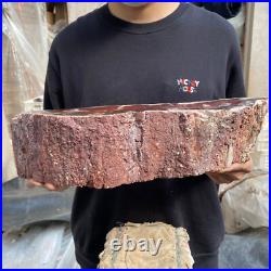 17.8lb Rare Natural petrified wood rough Wood fossil mineral specimen healing 17.8lb Rare Natural petrified wood rough Wood fossil mineral specimen healing