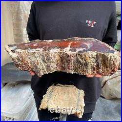 17.8lb Rare Natural petrified wood rough Wood fossil mineral specimen healing 17.8lb Rare Natural petrified wood rough Wood fossil mineral specimen healing