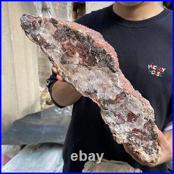 17.8lb Rare Natural petrified wood rough Wood fossil mineral specimen healing 17.8lb Rare Natural petrified wood rough Wood fossil mineral specimen healing