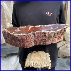 17.8lb Rare Natural petrified wood rough Wood fossil mineral specimen healing 17.8lb Rare Natural petrified wood rough Wood fossil mineral specimen healing