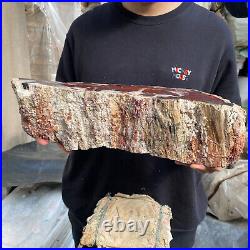 17.8lb Rare Natural petrified wood rough Wood fossil mineral specimen healing 17.8lb Rare Natural petrified wood rough Wood fossil mineral specimen healing