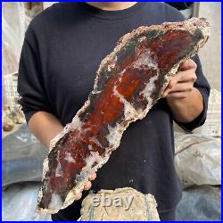 17.8lb Rare Natural petrified wood rough Wood fossil mineral specimen healing 17.8lb Rare Natural petrified wood rough Wood fossil mineral specimen healing
