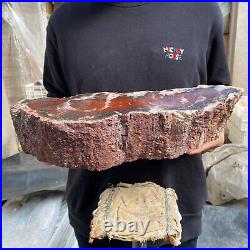 17.8lb Rare Natural petrified wood rough Wood fossil mineral specimen healing 17.8lb Rare Natural petrified wood rough Wood fossil mineral specimen healing