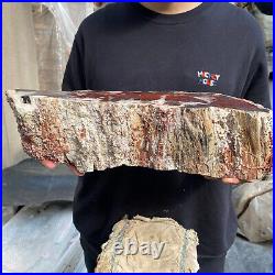 17.8lb Rare Natural petrified wood rough Wood fossil mineral specimen healing 17.8lb Rare Natural petrified wood rough Wood fossil mineral specimen healing