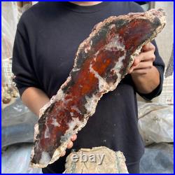 17.8lb Rare Natural petrified wood rough Wood fossil mineral specimen healing 17.8lb Rare Natural petrified wood rough Wood fossil mineral specimen healing