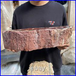17.8lb Rare Natural petrified wood rough Wood fossil mineral specimen healing 17.8lb Rare Natural petrified wood rough Wood fossil mineral specimen healing