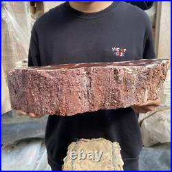 17.8lb Rare Natural petrified wood rough Wood fossil mineral specimen healing 17.8lb Rare Natural petrified wood rough Wood fossil mineral specimen healing