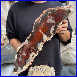17.8lb Rare Natural petrified wood rough Wood fossil mineral specimen healing 17.8lb Rare Natural petrified wood rough Wood fossil mineral specimen healing